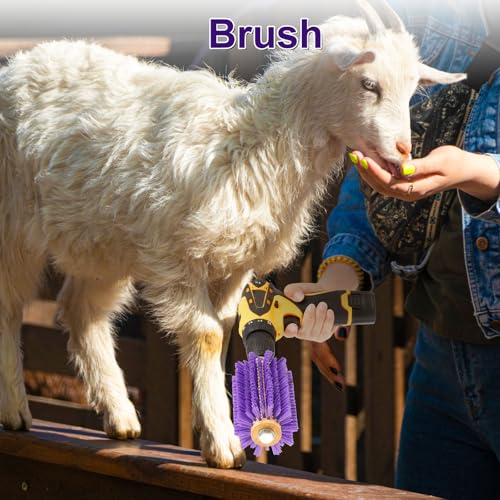 Willinglong 2 Pcs 5.35 inches Livestock Mini Drill Scratch Brush Purple Brush Grooming Kit Suitable for Cattle, Cows, Horses, Sheep and Pigs - size: 5.35 Inch