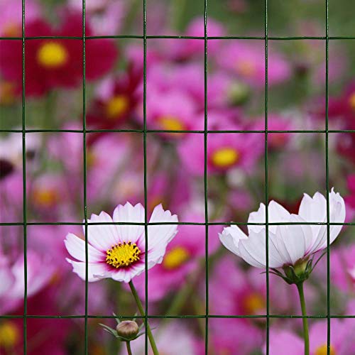 16GA PVC Green 36in x25ft-3in x 2in Welded Wire Mesh Garden Economy Fence - color: Green, size: 36"x25\'-3"x2" 16GA