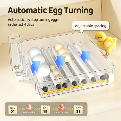 Egg Incubator 36 Eggs Incubators for Hatching Eggs Chicken Egg Incubator with Automatic Egg Turning and Humidity Display, Temperature Control Incubation Day Counter - size: 36 eggs
