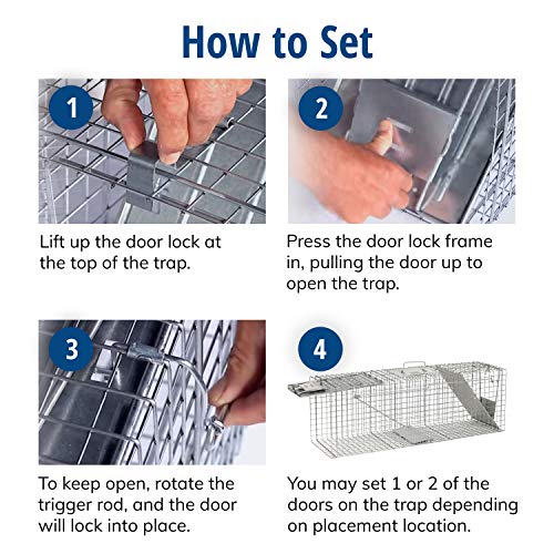 Havahart Large 2 Door Humane Catch and Release Live Animal Trap for Armadillos, Beavers, Bobcats, Small Dogs, Cats, Foxes, Groundhogs, Nutria, Opossums, Raccoons, Live Catch Trap for Stray Dogs 1045SR