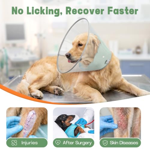 Dog Cone Collar to Stop Licking with Soft Detachable Liner, Comfortable Elizabeth Recovery Collar for Large Medium Dogs After Surgery, Pet Neck Head Cone Alternative, XXL, Green - color: Green, size: XXL