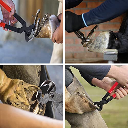 Farrier Tools12 Pcs Horse Farrier Tools Labor Saving Hoof Trimming Care Tools for Horses Cattle Sheep and Donkeys