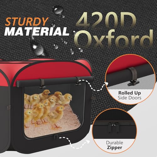 Brooder Box for Chicks Starter Kit - 5 in 1 Chick Enclosure Tent Collapsible Chicken Brooder with Heating Plate, Feeder, Waterer, Perch, Fits Baby Chicks, Ducks, Quail - color: Chick Brooder with Heating Plate and Bundles