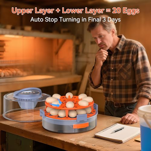 Egg Incubator for Hatching 18 Eggs with Auto Turning, Humidity Sensor, 5 Preset Modes, Transparent Lid for Observation, Ideal for Family Projects, Science Classrooms, Chickens Ducks Quails (Orange)