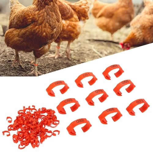 100Pcs Chicken Leg Rings, 5 Colors Readable Numbered Chicken Identification Leg Bands Card Slots Design Poultry Leg Tags for Chicks Ducks (Red (100 Pieces per Pack)) - color: Red (100 Pieces Per Pack)