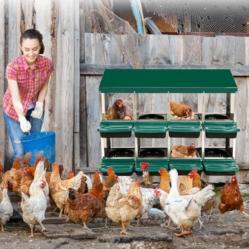 Chicken Nesting Box, 8 Compartments Roll Away Eggs Laying Boxes, Cleanable Pull Out Hen Roosting Boxes, Durable& Easy to Install, Green - color: Green, size: 8 holes