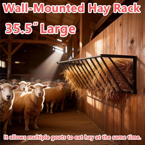 Wall Mounted Hay Feeder & Blanket Holder, 35.5" Long Gal Heavy Duty Steel Hay Rack for Horse Stall, Goat Shed, Sheep Barn, Organizer for Feeding and Storage - size: 35 in（2 PCS）