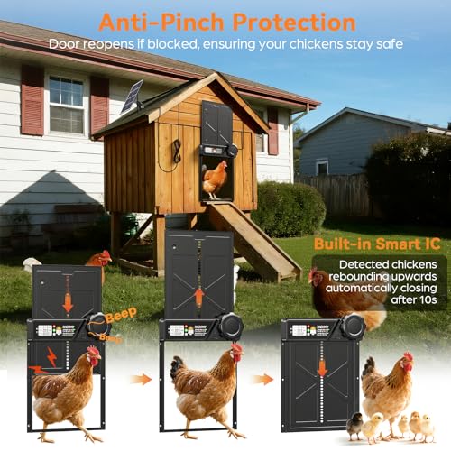 Large Size Automatic Chicken Coop Door Solar Powered, Auto Chicken Door Opener with Timer Modes for Safe and Convenient Chicken Keeping with Intelligent Obstacle Sensors, Remote Control