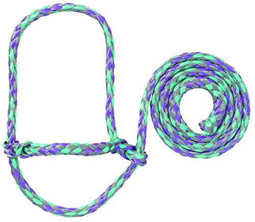Weaver Leather Livestock Poly Rope Sheep Halter, Gray/Lavender/Mint & Livestock Poly Rope Sheep Halter, Lime/Hurricane Blue/Royal Blue, Average
