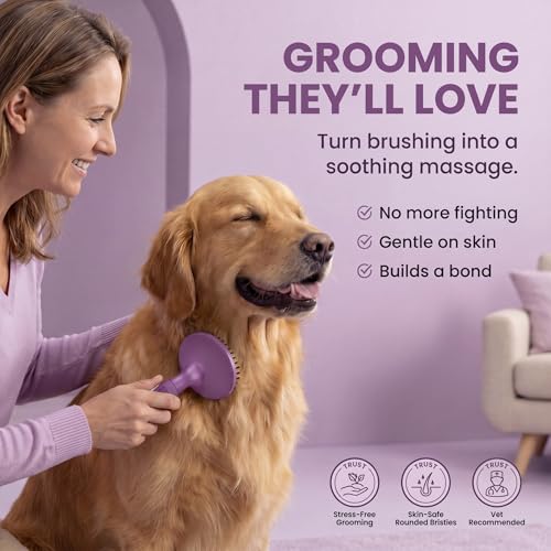 Round Bristle Pet Brush for Dogs and Cats - Soft Dog Brush for Grooming Short or Long Hair - Gentle Tool for Sensitive Skin Removes Dander, Dirt, and Detangles (Purple) - color: Purple