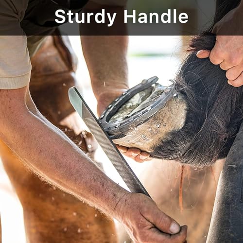 T12 Carbon Steel Horse hoof rasp 14 inch 8 inch Farrier Tool for Horse Goat Cow Donkey Animal Hooves rasp Tool (14 in) - color: 14 IN