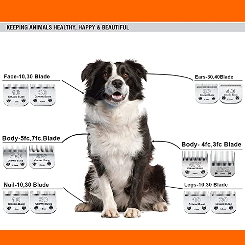 4PACK Dog Grooming Clipper Replacement Blades Compatible with Andis Pet Clipper/Oster A5/Wahl KM Series Dog Clipper,Ceramic Blade & Stainless Steel Blade (#3FC+4FC+5FC+7FC) | For Oster A5/Wahl KM Series Dog Clipper ,Ceramic Blade & Stainless Steel Blade ,