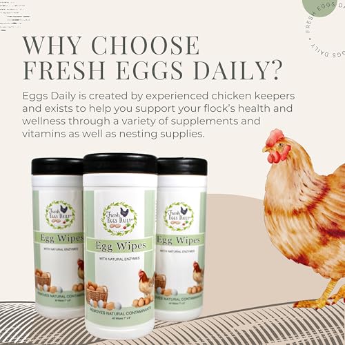 Fresh Eggs Daily Egg Wipes – Enzyme-Based Egg Cleaner for Backyard Chickens, No Rinse Needed, Natural Enzyme Formula - Natural Cleaning Wipes (2-Pack) - size: 40 Count (Pack of 2)