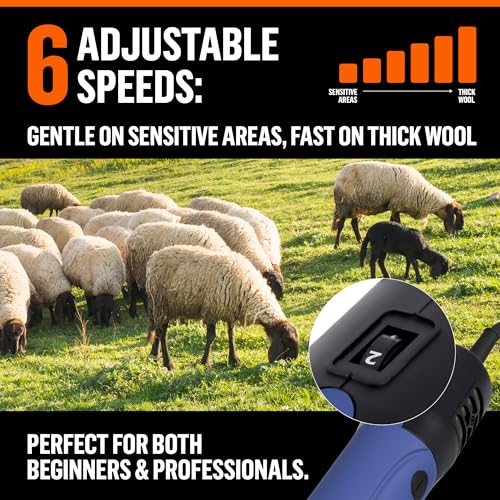 Sheep Shears Electric Clippers 2500RPM, 6-Speed Control - Heavy Duty Livestock Grooming Kit for Sheep, Goats, Alpacas, Llamas - Case, Low Vibration, 18.3ft Cord (1 Blade Included) - size: 1 Blade Included
