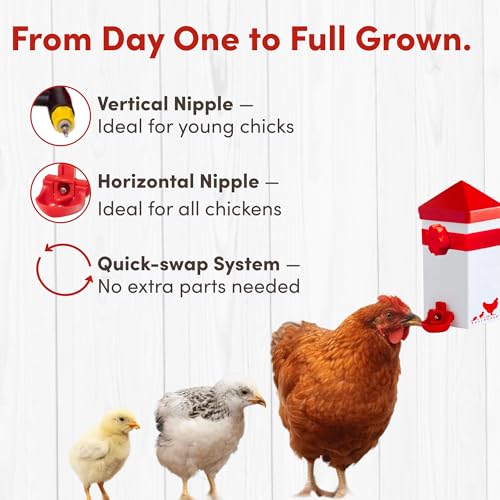RentACoop 32oz Chicken Drinker with 2 Versatile Nipples