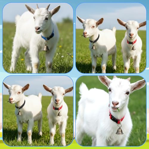 4 Pack Sheep Grazing Copper Bells & Adjustable Nylon Collar Set | Goat Collars with Bells, Bronze Bell for Find Your Animals Fast, Suitable for Small Newborn Animal Sheep Goat Cow Accessories