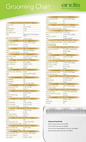 Andis – 64315, Ceramic Edge Detachable Pet Clipper Blade – Carbon-Infused Steel with Sharp Cutting Tech, Runs Cooler & Stays Sharper, Resists Rust & Heat, Size-10 - Fits AG, AGC & BDC Series, Chrome - size: 10 Blade (Pack of 2)