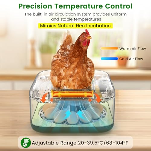 12 Egg Incubator with Automatic Turning, Auto Water Refill & Temp/Humidity Control, Plus Hatching Guide, Digital Hatcher for Chicken, Duck, Quail, Pigeon Eggs & More - color: Green, size: 12 Egg
