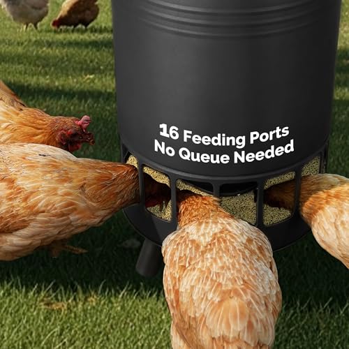 Solution4Patio 50LB No-Waste Chicken Feeder, Large Capacity Gravity Dispenser with Spill Control & 16 Feeding Ports Poultry Feeder for Outdoors & Hen Coop (Black) - color: Black