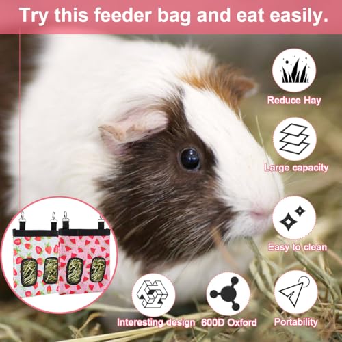DZWLKJ Rabbit Hay Feeder, 600D Polyester, Hay Feede, Watermelon, Rabbit, Guinea Pig, Chinchilla, Hamsters, Small Pets, 1 Pack, Foldable, Lightweight - size: M -11"x 9"x 1"