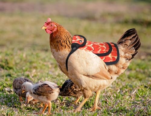 3 Pack Chicken Saddles for Hens, Chicken Saddles with Adjustable Elastic Shoulder Straps Chick Apron Back Protector for Small, Medium and Large Hen, Hens Care Accessories
