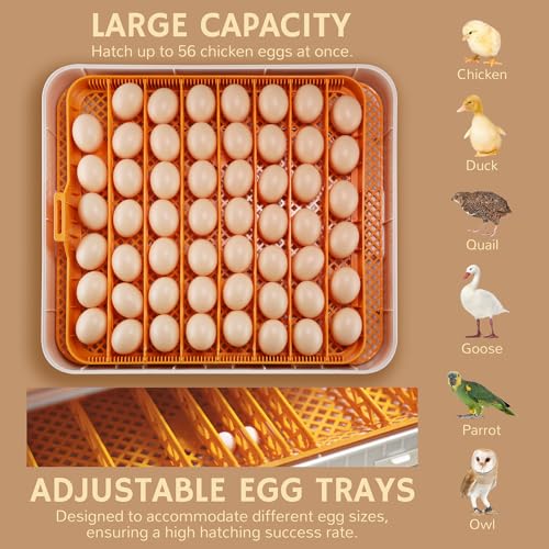 iPettie ProHatch56 Egg Incubator for Hatching Eggs with Automatic Egg Turning & Humidity Temperature Control, 56 Eggs Capacity for Chicken Eggs, Duck Eggs, Quail Eggs, Temperature Alarms