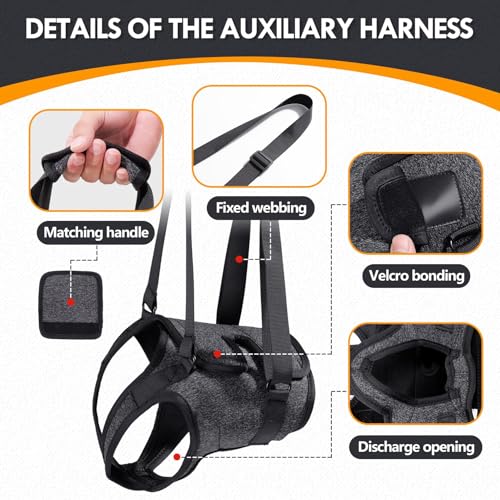 Dog Lift Harness |Harness for Large Dogs, Adjustable Hind Leg Support Sling for Elderly Injured Arthritic Disabled Dogs, Mobility & Rehabilitation Aid(S) - size: S