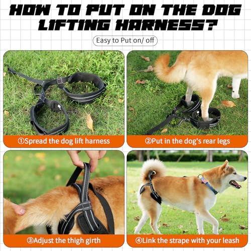 Dog Harness Rear Leg Support for Old Disabled Injured Arthritis Post-op S | Breathable mesh material with reflective strape, adjustable buckle, portable lifting handle, match most dog collars - size: S(Leg Girth: 13.3-18.1")