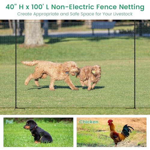 Non Electric Fence Netting 40" x100', Boundary Fence with Double Spiked Posts, Portable Poultry Fencing for Dogs, Chickens, Ducks, Turkeys in Backyard, Garden, Farm