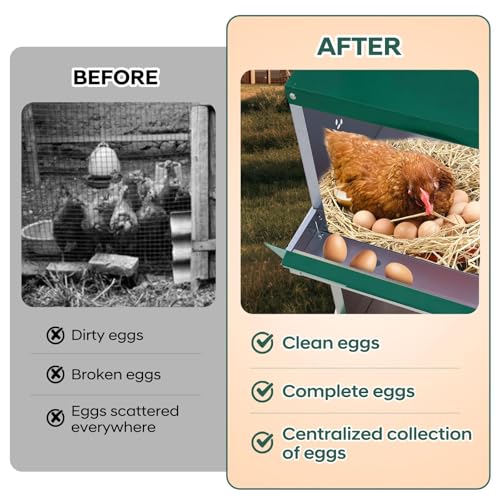 6 Compartment Chicken Nest, Stainless Steel Laying Boxes for Hens with 4 Dummy Eggs and 10 Dampproof Pets Mats, Wall Mounted or Free Standing Chicken Boxes, Roll Out Design, Green, with Stand Style