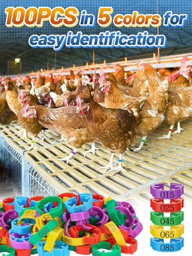 MEWTOGO 17-23mm Adjustable 100 Pcs Chicken Leg Bands | Colorful Easy to Read Numbered Chicken Identification Leg Rings, Durable Poultry Leg Bands for Ducks Goose Turkey Small Birds