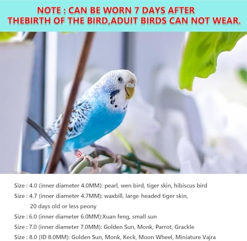 Bird Ring Leg Bands Aluminium Leg Rings Bird Identify Band for Hibiscus Birds, Parrots, Peonies, etc.Mixed Colors 50 PCS Per Pack（ID 8.0MM） - size: ID8.0MM
