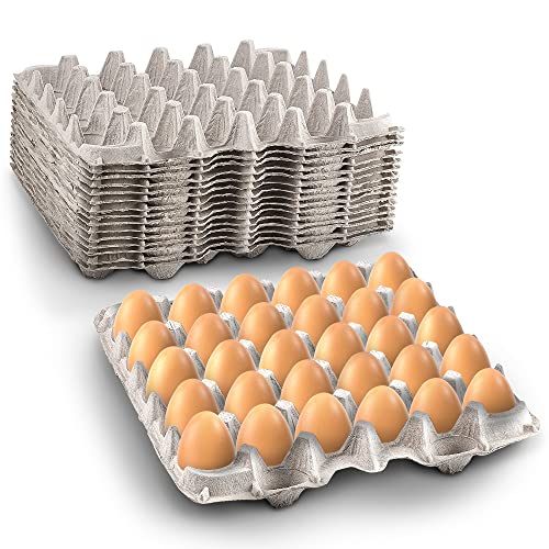 Biodegradable Pulp Fiber Egg Flats - 15 Pieces for Storing up to 30 Large or Small Eggs/Egg Crates That Make a Great Home for Roach Colony by MT Products