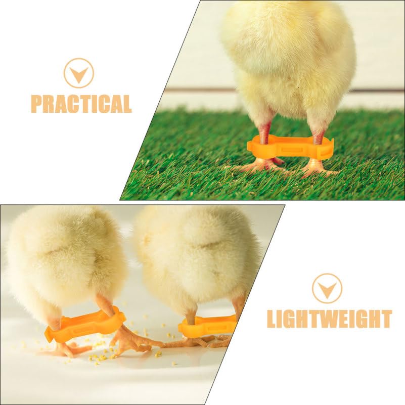 9pcs Foot Orthosis for Chickens Quails Parrots Bird Leg Ring Arch Support
