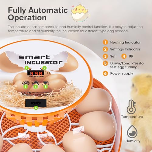 12 Egg Incubator with Automatic Egg Turning and Temperature Control, Automatic Water Adding, LED Egg Candler, Incubators for Hatching Eggs, Chickens, Ducks, Quail - color: Orange