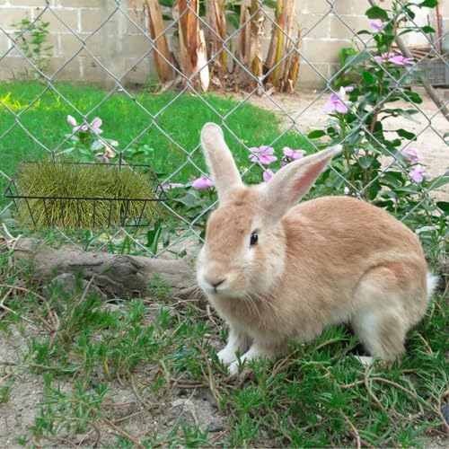 WOPPLXY 6 Pcs Rabbit Hay Feeder, Heavy Duty Metal Rabbit Hay Rack with Hooks, Bunny Hay Feeder Rack, Metal Rack Hay Holder for Rabbits Guinea Pigs, Small Animal Cage Accessories(9 x 4 x 2 Inch)