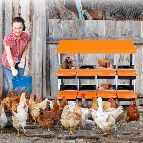 Chicken Nesting Boxes, 8 Compartments Chicken Laying Boxes, Removable Plastic Tray, Easy to Clean, Roll Away Nesting Boxes for Chickens Laying Eggs, Orange