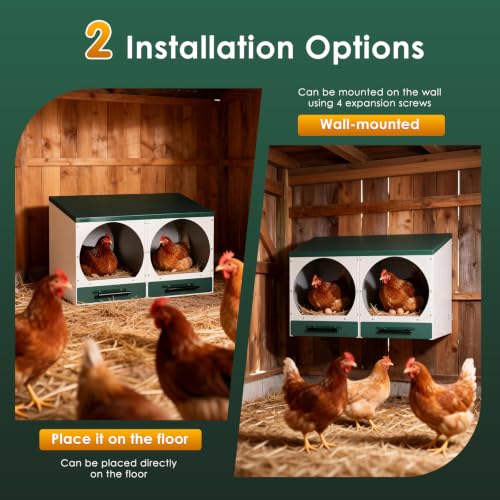 Chicken Nesting Box, Wall-Mounted Metal Roll Away Egg Laying Box | Galvanized Steel 2 Compartment Chicken Laying Boxes with Roll Away Egg Collection&Pull-Out Trays for Hens, Chickens, Ducks