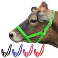 Derby Originals Adjustable Nylon Livestock Cattle Halters - color: Lime Green, size: Large (800-1400lbs)