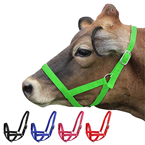Derby Originals Adjustable Nylon Livestock Cattle Halters - color: Lime Green, size: X-Large (1400-2000+lbs)