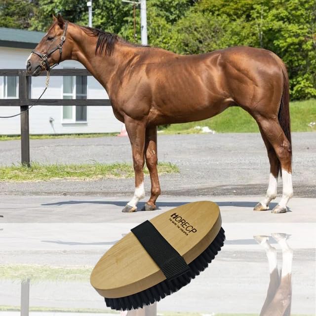 Wooden Horse Brush. Professional Horse bursh for grooming,easy to remove mud, dust, dirties.