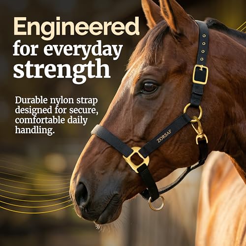 Black Nylon Horse Halter – Non Adjustable – Durable Horse Tack for Everyday Use – Stylish Horse Stuff – Perfect for Horse Lovers.