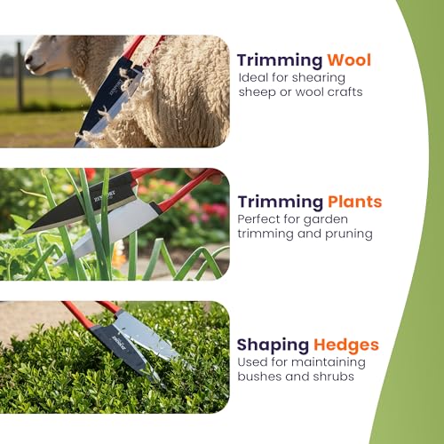 Zenport ZL122 Heavy Duty Onion & Sheep Shears – 13-Inch Double Bow Shear with 6.5-Inch Carbon Steel Blades, Spring-Loaded Garden & Harvest Cutting Tool