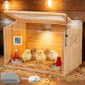 Chick Brooder Box,Brooder Box for Chicks,16" Lx12 Wx11 H, Ducks,Chicken Coop,Quail cage,2 Washable Liners,Adjustable Temperature Control.
