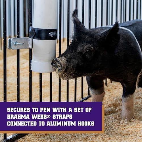 Weaver Livestock Vertical Pig Waterer Kit with Steel Nipples | Easy Hydration Setup Supports Barns, Pens, & Fair Setups with Convenient Water Access for Hogs Throughout The Day