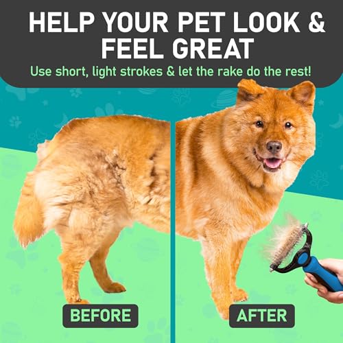 Maxpower Planet Pet Grooming Rake and Mini Pet Hair Remover Tool, Undercoat Rake for Dogs & Hair Remover for Car Carpet, Cat Fur Removal and Double-Sided Deshedding Dematting Tool for Dogs and Cats - color: D - Rake & Remover, size: Large