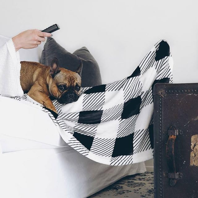 50"x70" Pleasingly Plaid Foot Pocket Blanket Plush Fleece Non-Electric - color: Pleasingly Plaid