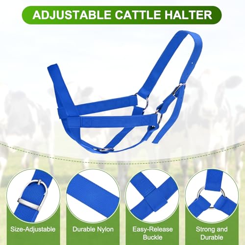 M METERXITY 2-Pack Adjustable Cattle Cow Calf Halter, 15.74"-19.68" Nylon Livestock Cow Halter for Miniature Horse/Donkey/Goat/Cattle [Blue]