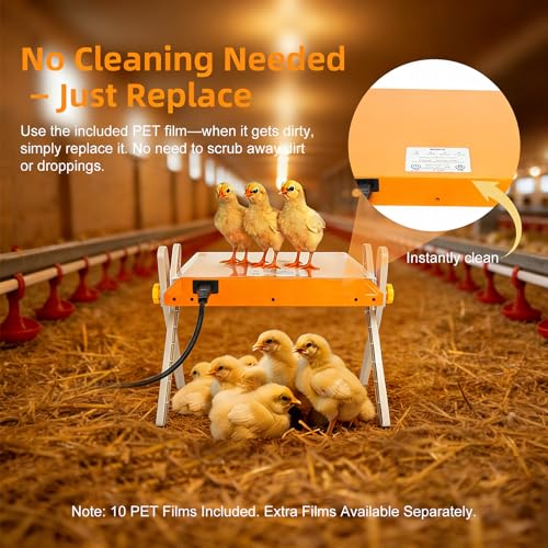 Chick Brooder Heating Plate - Briidea 80W Brooder Heater with 3 Adjustable Temperature, 10 PET Cleaning Film, Adjustable Height & Angle, Warmth Like Hen, 10" x 10" for 15 Small Poultry - color: 3 Adjustable Temperature