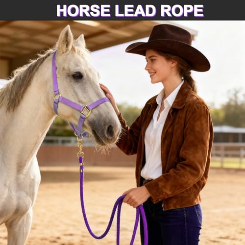 5/8" x 8' Nylon Horse Lead Rope with Cast Iron Hardware(Purple) | Durable nylon material, cast iron hardware, ideal for daily use, training and showing. - color: Purple